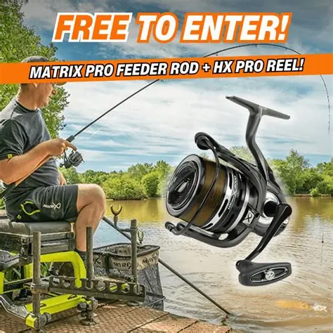 Online betting user experience Canada